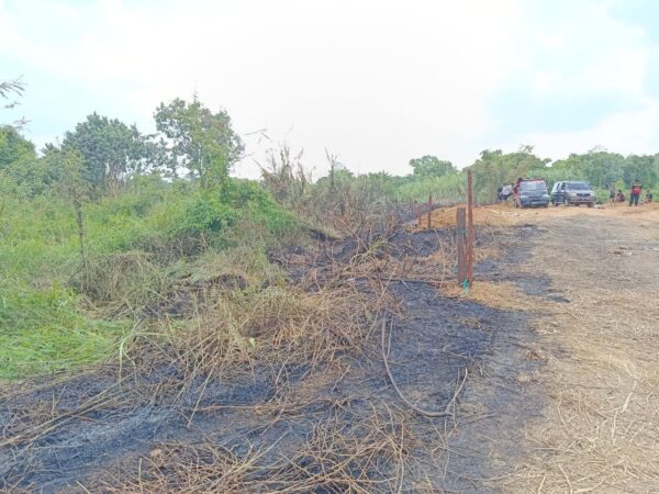 Pemancing Buang Puntung Rokok, Gubuk dan Lahan di Loa Ipuh Terbakar