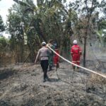 Puncak Kemarau, 14 Kecamatan di Kukar Sudah Alami Karhutla