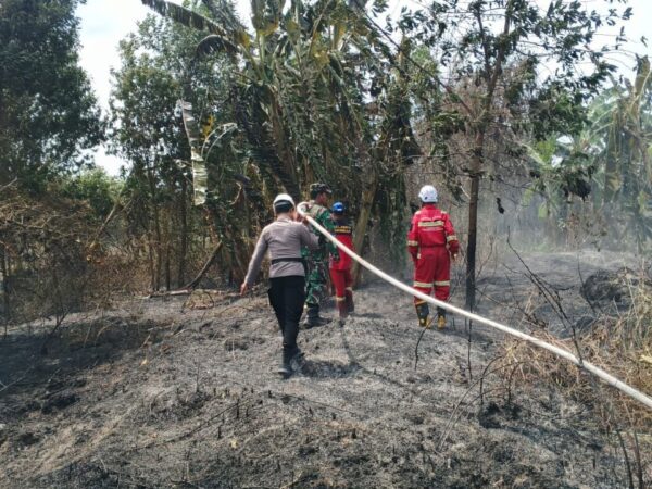 Puncak Kemarau, 14 Kecamatan di Kukar Sudah Alami Karhutla