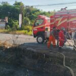 Dua Hektare Lahan di Kecamatan Sangasanga Terbakar