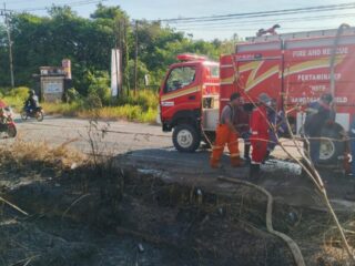 Dua Hektare Lahan di Kecamatan Sangasanga Terbakar