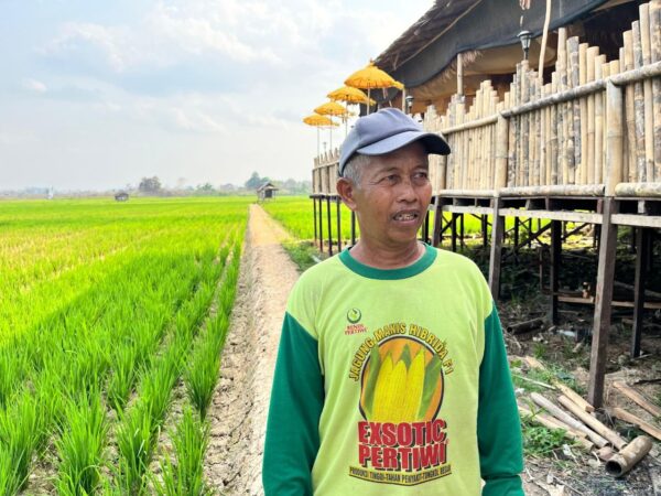 Satu Bulan Tanpa Pengairan, Petani di Samarinda Mulai Kehilangan Harapan untuk Panen