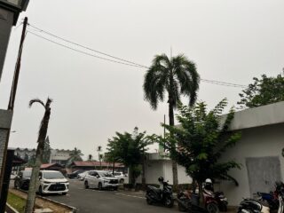Asap Karhutla Selimuti Samarinda, Kualitas Udara Sangat Tidak Sehat