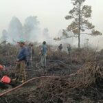 Tangani Karhutla di Lahan Gambut, Pemkab Kukar Pakai Tepung Singkong