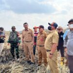 Karhutla di Samarinda Utara hingga 20,5 Hektare, Dua Hari Petugas 'Mengepung' Api