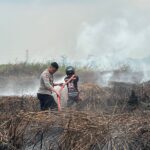Lahan Gambut Palaran Kembali Terbakar, Meluas 10 Hektare hingga ke Kawasan Adi Sucipto 
