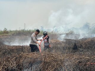 Lahan Gambut Palaran Kembali Terbakar, Meluas 10 Hektare hingga ke Kawasan Adi Sucipto 