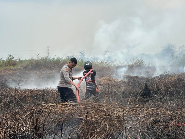 Lahan Gambut Palaran Kembali Terbakar, Meluas 10 Hektare hingga ke Kawasan Adi Sucipto 