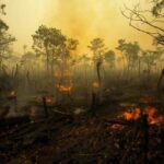 Karhutla Mengancam Kesehatan, Ini Cara Aman Melindungi Diri