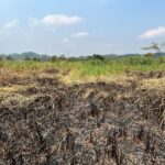 Karhutla Tembus 643 Hektare, Intrusi Air Laut Ganggu Lima IPA PDAM, Samarinda Perpanjang Tanggap Darurat Ketiga Kalinya