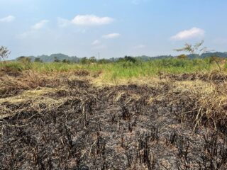 Karhutla Tembus 643 Hektare, Intrusi Air Laut Ganggu Lima IPA PDAM, Samarinda Perpanjang Tanggap Darurat Ketiga Kalinya