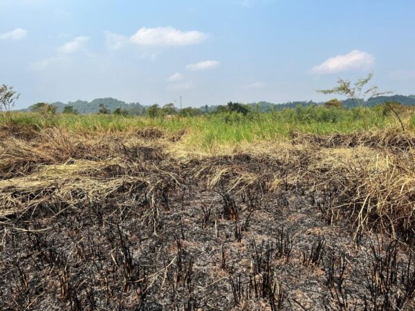 Karhutla Tembus 643 Hektare, Intrusi Air Laut Ganggu Lima IPA PDAM, Samarinda Perpanjang Tanggap Darurat Ketiga Kalinya