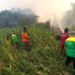 Empat Orang Jadi Tersangka Kasus Karhutla di Samarinda, Bantuas dan Sambutan Masuk Zona Merah