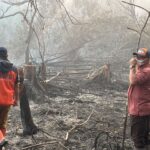 Wawali Samarinda Tinjau Karhutla Makroman-Pulau Atas, Akui Tim Gabungan Kewalahan