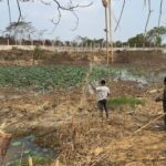 Belasan Buaya Muara di Taman Satwa Palaran Direlokasi BKSDA