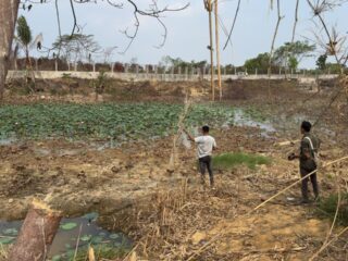 Belasan Buaya Muara di Taman Satwa Palaran Milik Almarhum Pengusaha Abun Direlokasi BKSDA
