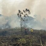Lahan Gambut Terus Menyala, Karhutla di Makroman-Pulau Atas Samarinda Meluas hingga 30 Hektare
