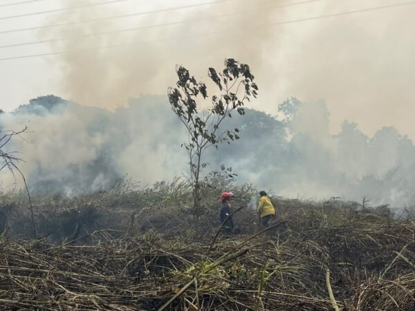 Lahan Gambut Terus Menyala, Karhutla di Makroman-Pulau Atas Samarinda Meluas hingga 30 Hektare