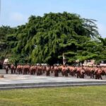 Hari Pramuka ke-65, Sri Juniarsih Soroti Peran Generasi Muda Bangun Berau