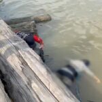 Jasad Perempuan Tanpa Identitas Ditemukan Mengapung di Sungai Mahakam