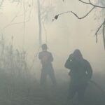 Kebakaran Lahan di Sambutan Meluas hingga 50 Hektare, Api Tinggal 5 Meter dari Permukiman