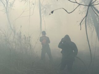 Kebakaran Lahan di Sambutan Meluas hingga 50 Hektare, Api Tinggal 5 Meter dari Permukiman